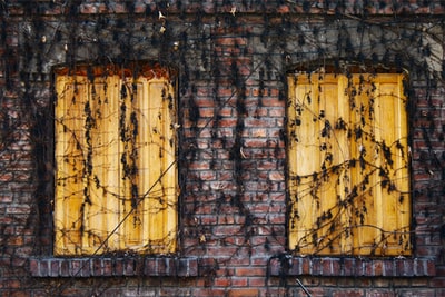 两个棕色的木质窗户枯叶覆盖着
